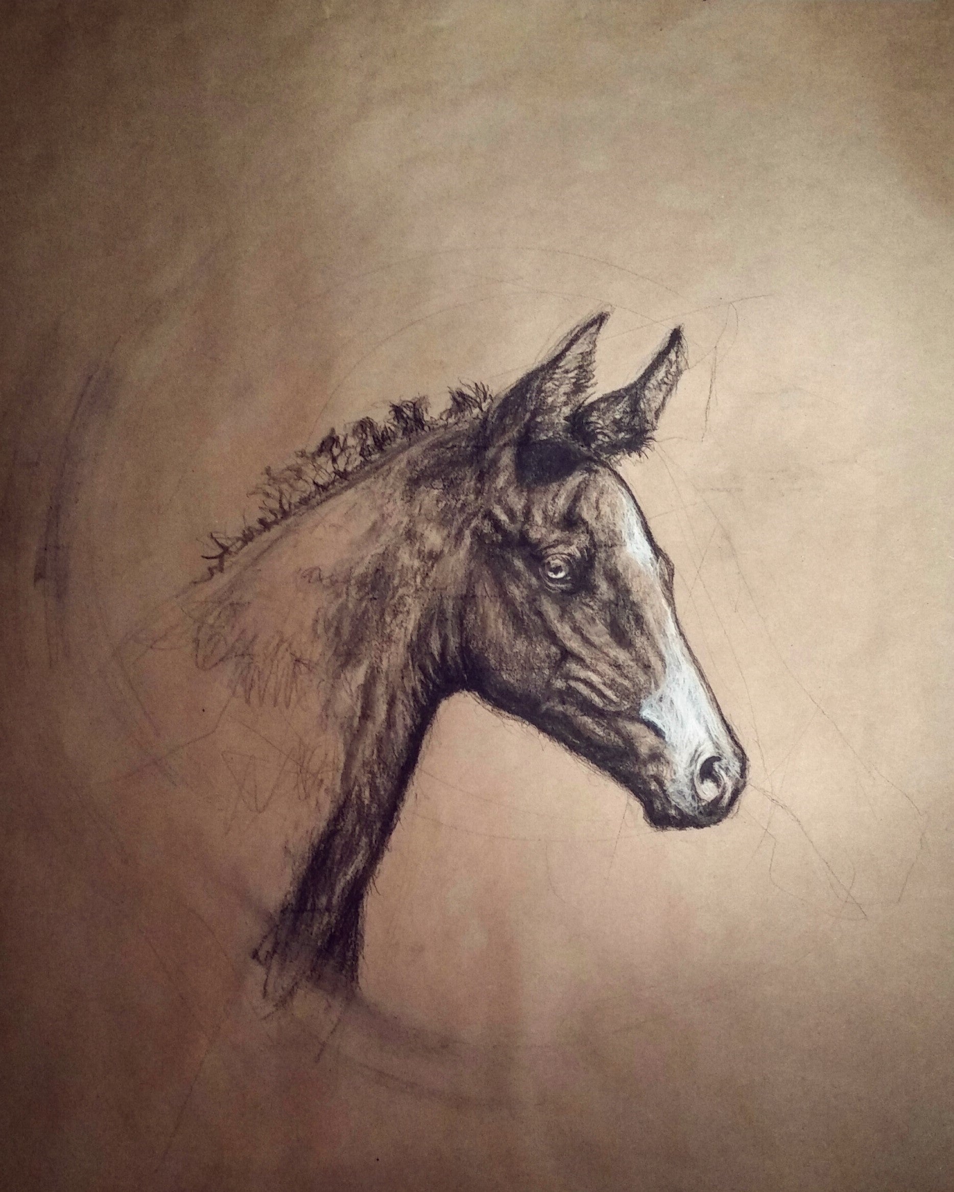 Of the Soft and Bright II