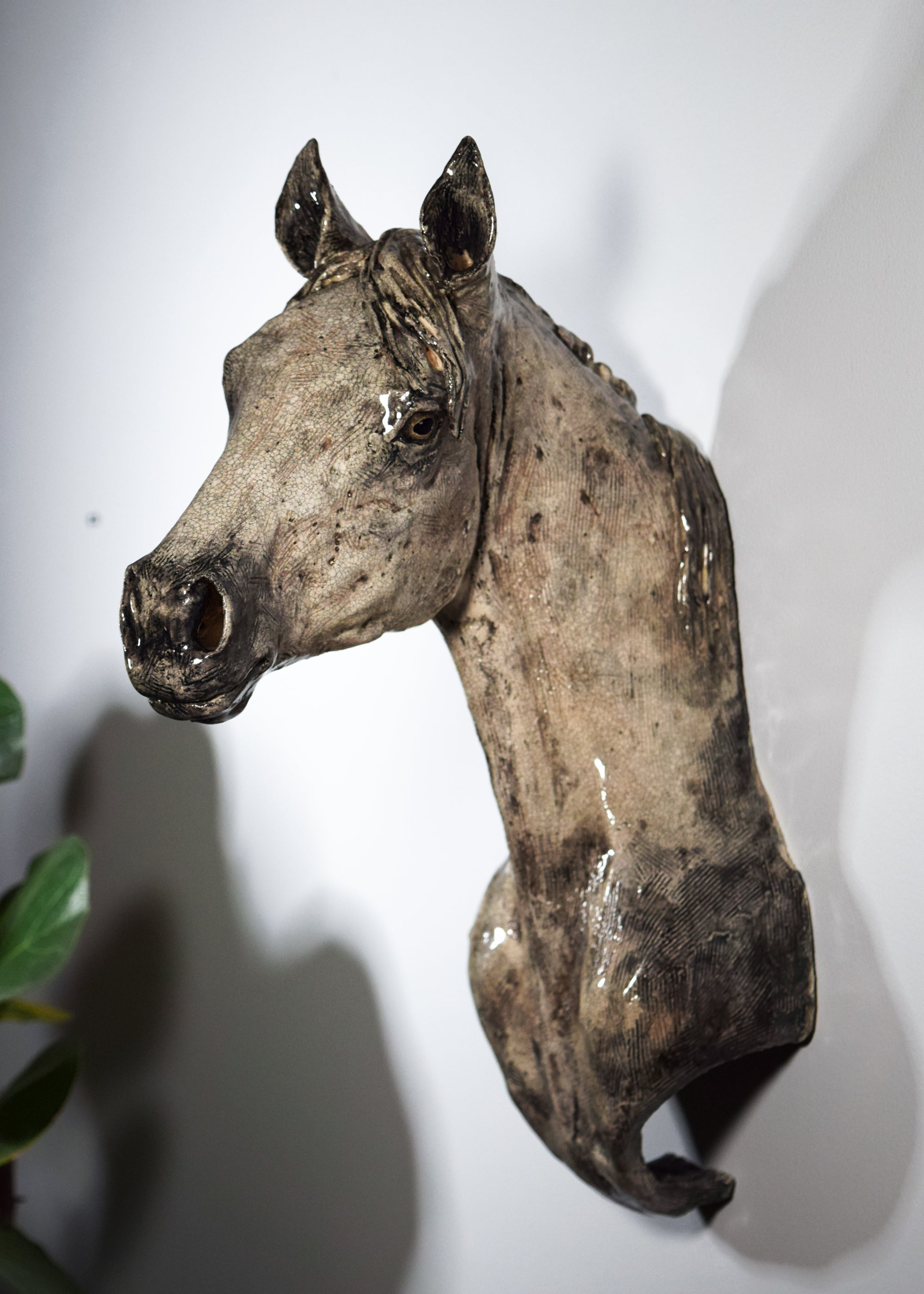 Of Stature and Sagacity