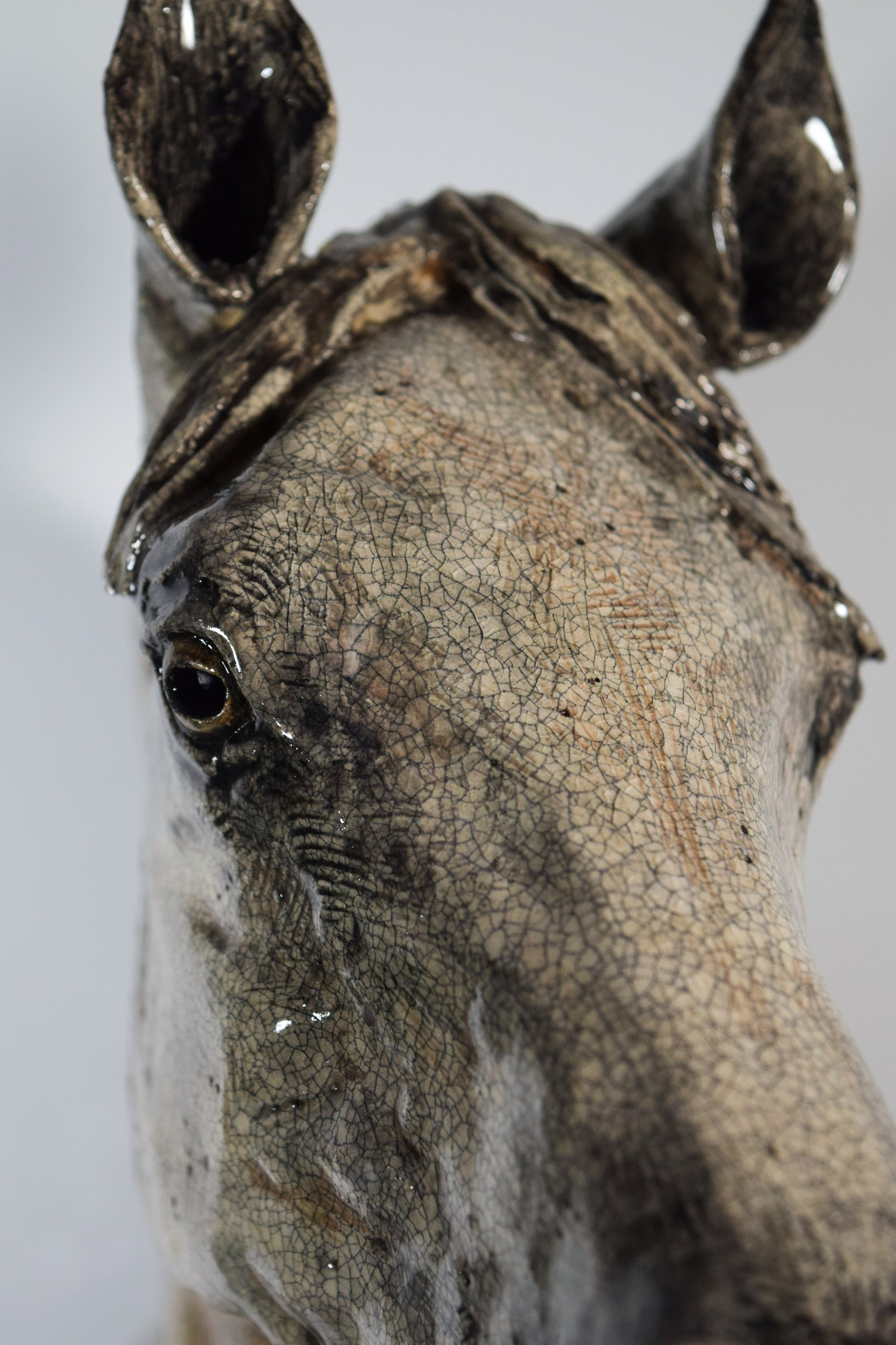 Of Stature and Sagacity