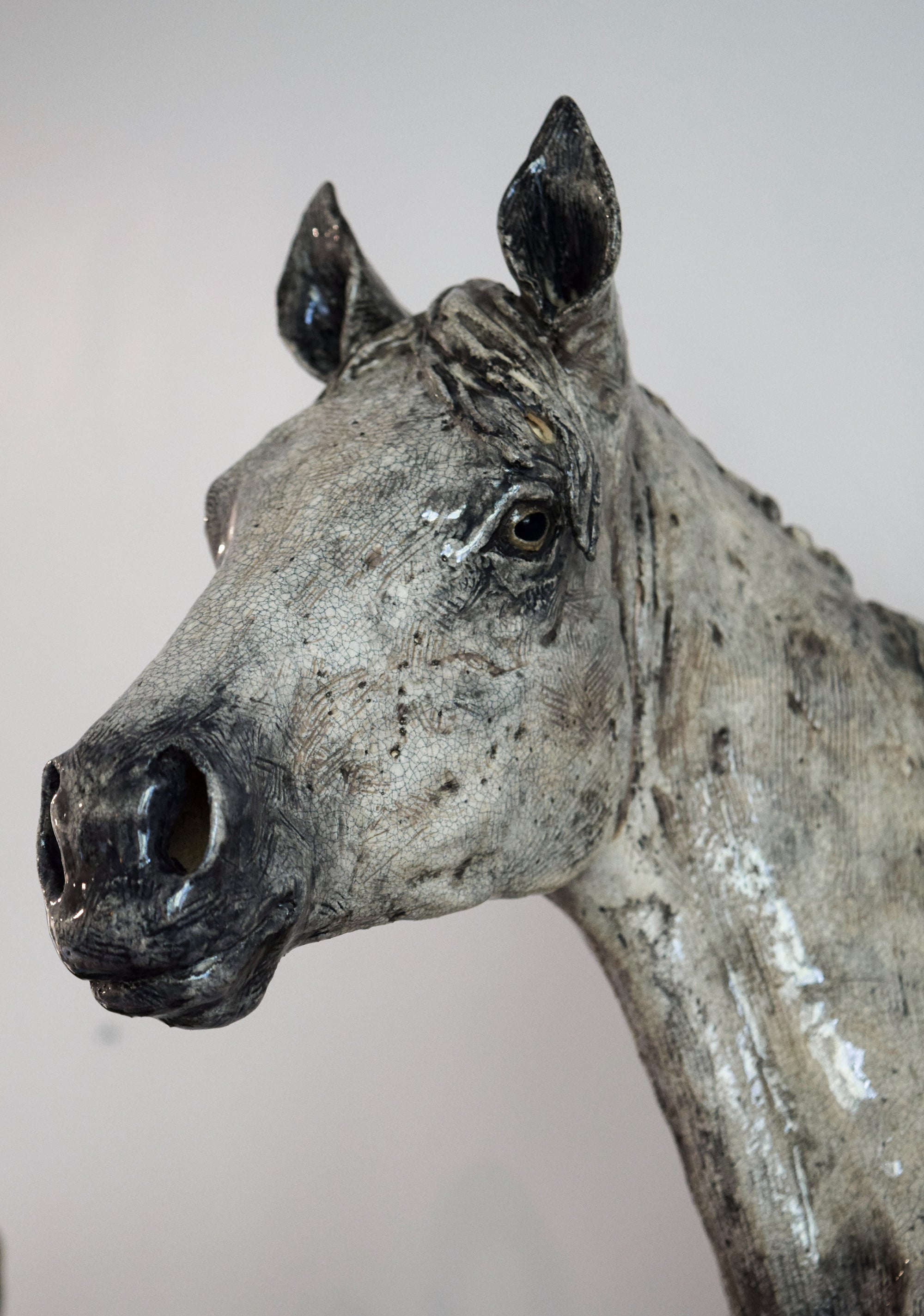 Of Stature and Sagacity