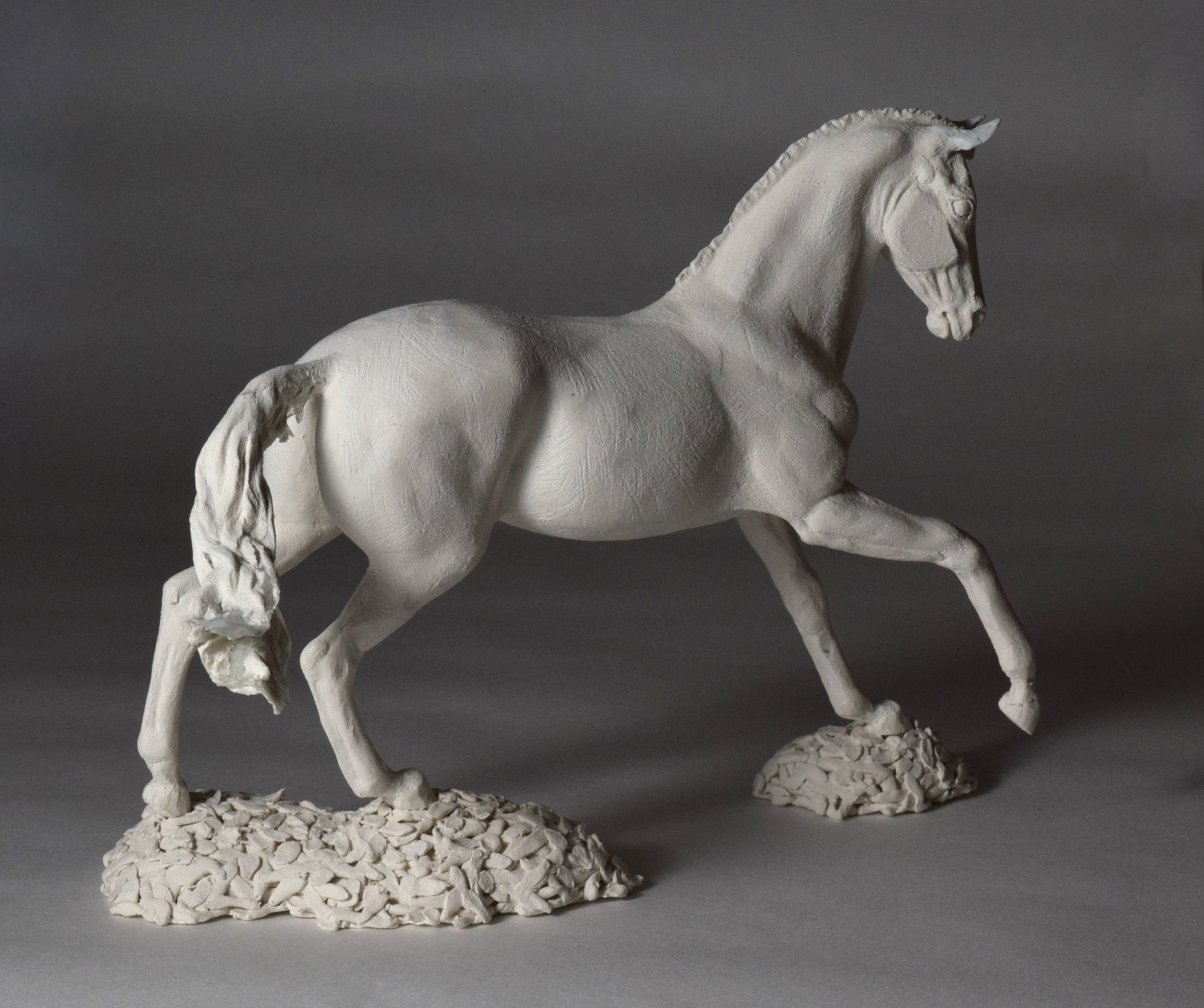 Sculpting Horses in Air Dry Clay Sculpture Kit by Susie Benes