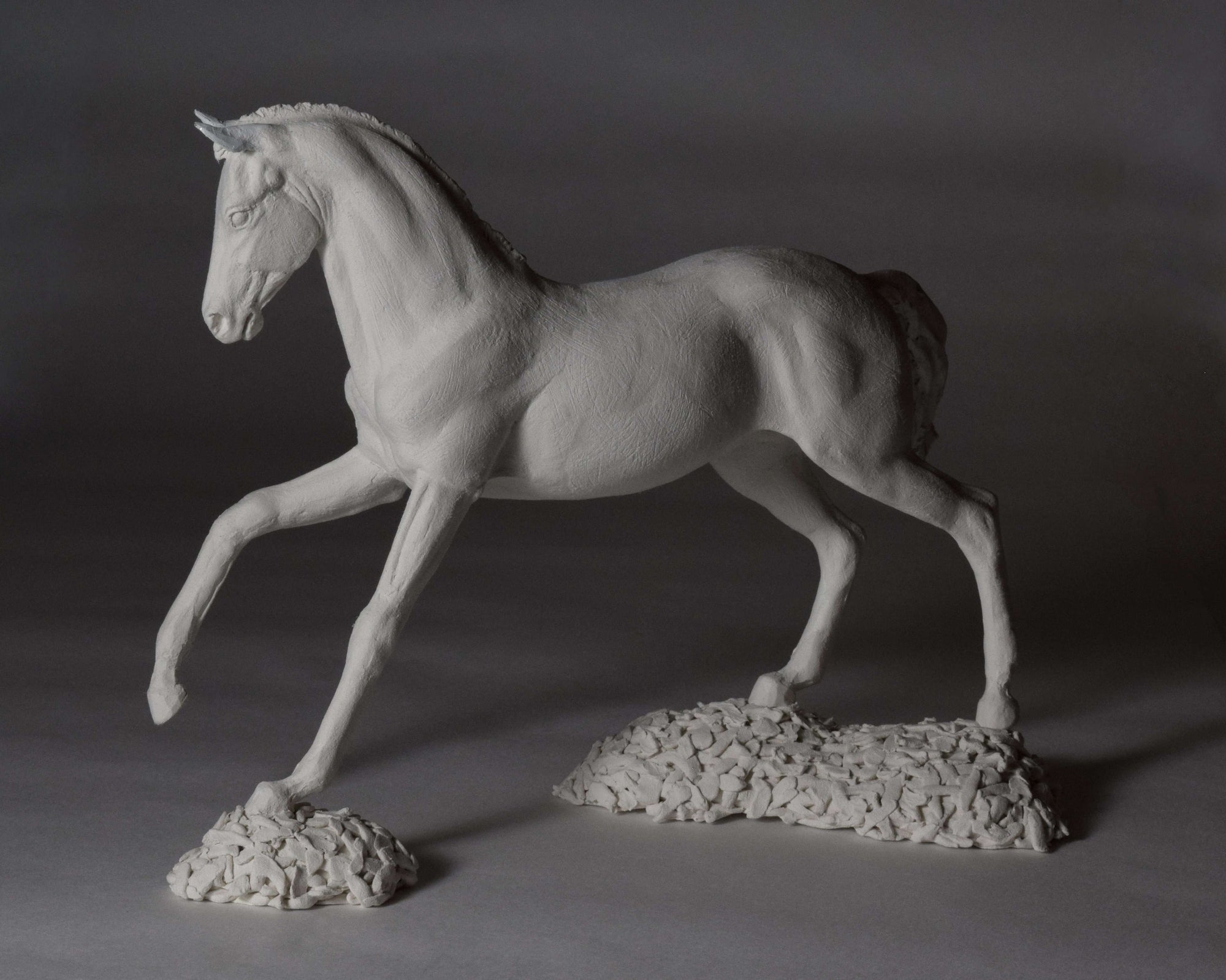 Sculpting Horses in Air Dry Clay Sculpture Kit by Susie Benes